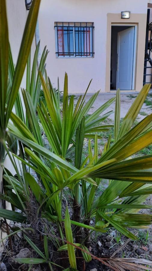 Depto. Cedelu Lägenhet Concepción del Uruguay Exteriör bild